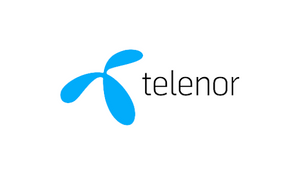 Telenor wants more focus on online safety